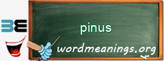 WordMeaning blackboard for pinus